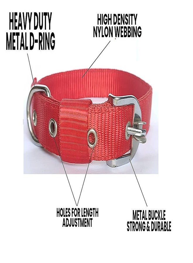 Pups&Pets Dog Belt Combo of 1 inch Nylon Collar with Heavy Dog Chain 63 Inch Lengthy Dog Collar Chain (Red) - Image 3